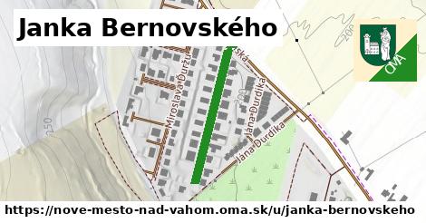 Janka Bernovského, Nové Mesto nad Váhom