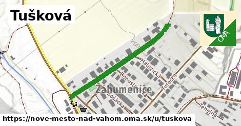 Tušková, Nové Mesto nad Váhom