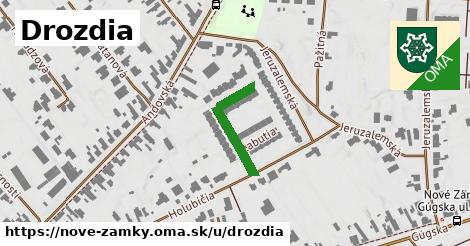 ilustrácia k Drozdia, Nové Zámky - 193 m