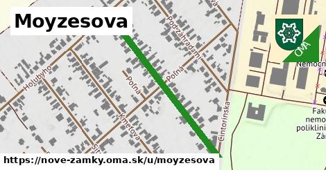 Moyzesova, Nové Zámky