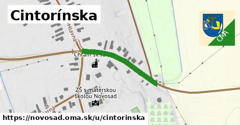 Cintorínska, Novosad