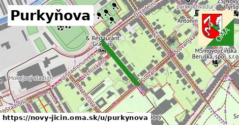 Purkyňova, Nový Jičín