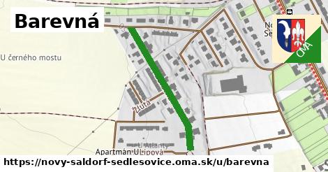 ilustrácia k Barevná, Nový Šaldorf-Sedlešovice - 312 m