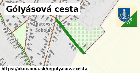 Gólyásová cesta, Okoč