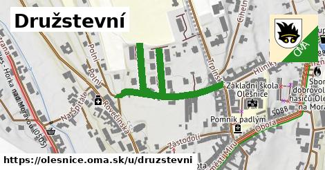 Družstevní, Olešnice