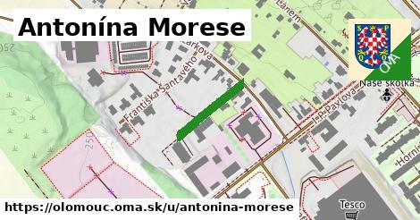 Antonína Morese, Olomouc