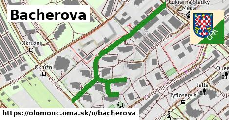 Bacherova, Olomouc