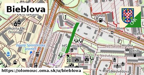ilustrácia k Bieblova, Olomouc - 164 m