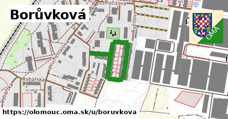 ilustrácia k Borůvková, Olomouc - 402 m