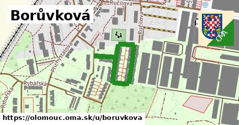 ilustrácia k Borůvková, Olomouc - 402 m