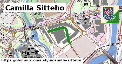 ilustrácia k Camilla Sitteho, Olomouc - 208 m