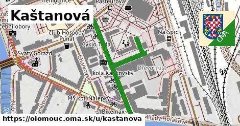 Kaštanová, Olomouc