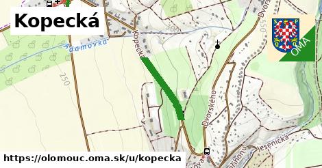 ilustrácia k Kopecká, Olomouc - 342 m
