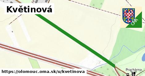 ilustrácia k Květinová, Olomouc - 512 m