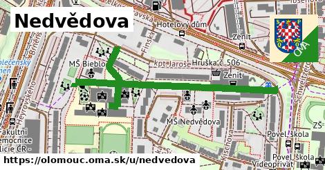 Nedvědova, Olomouc
