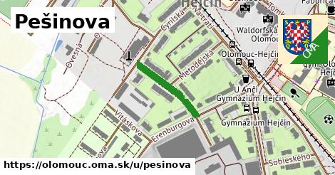 ilustrácia k Pešinova, Olomouc - 175 m