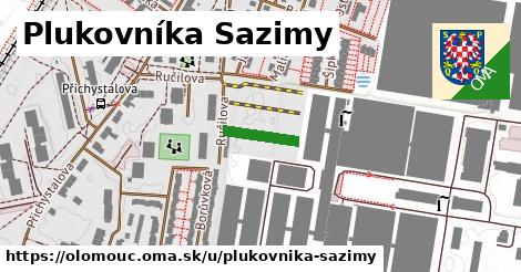 Plukovníka Sazimy, Olomouc
