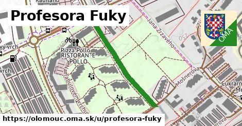 ilustrácia k Profesora Fuky, Olomouc - 342 m