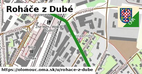 ilustrácia k Roháče z Dubé, Olomouc - 463 m