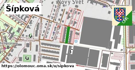 Šípková, Olomouc