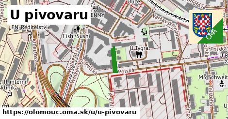 ilustrácia k U pivovaru, Olomouc - 81 m