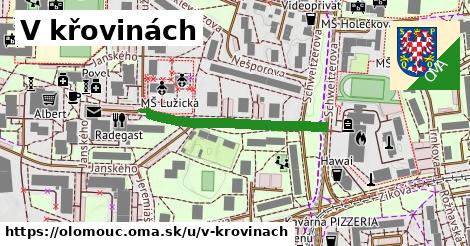 V křovinách, Olomouc