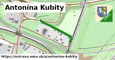 Antonína Kubity, Ostrava