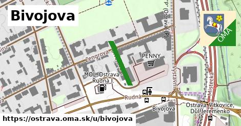 ilustrácia k Bivojova, Ostrava - 145 m