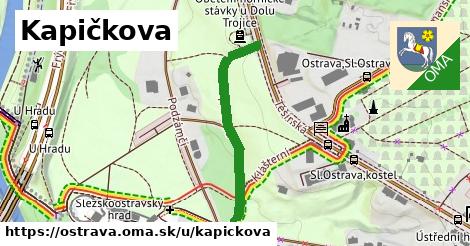 ilustrácia k Kapičkova, Ostrava - 325 m