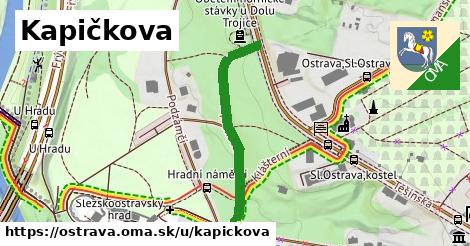 ilustrácia k Kapičkova, Ostrava - 325 m