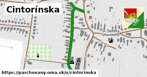 Cintorínska, Parchovany