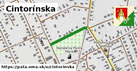 Cintorínska, Pata