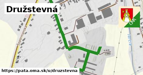 Družstevná, Pata