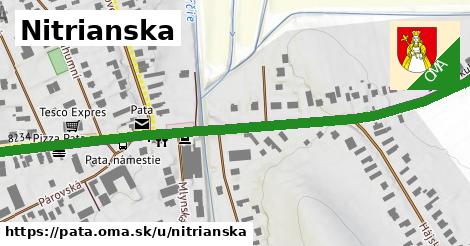 Nitrianska, Pata