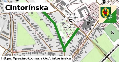 ilustrácia k Cintorínska, Pezinok - 484 m