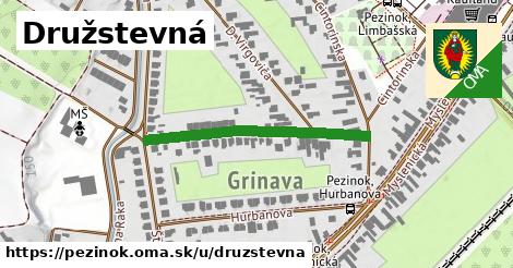 ilustrácia k Družstevná, Pezinok - 332 m