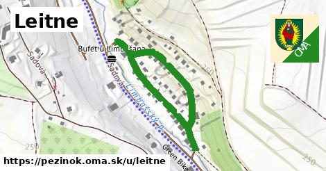 ilustrácia k Leitne, Pezinok - 581 m