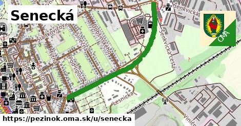 ilustrácia k Senecká, Pezinok - 0,89 km