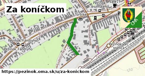 ilustrácia k Za koníčkom, Pezinok - 211 m