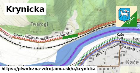 ilustrácia k Krynicka, Piwniczna-Zdrój - 80 m