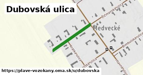 ilustrácia k Dubovská ulica, Plavé Vozokany - 242 m