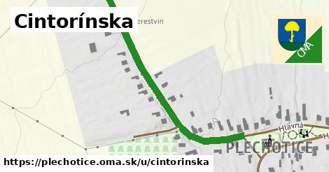 Cintorínska, Plechotice