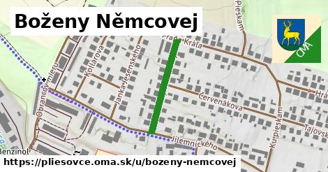 Boženy Němcovej, Pliešovce