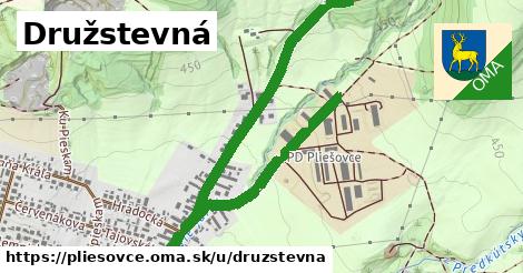 ilustrácia k Družstevná, Pliešovce - 2,4 km