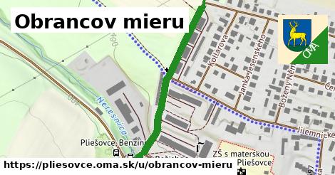 Obrancov mieru, Pliešovce