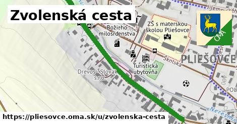 ilustrácia k Zvolenská cesta, Pliešovce - 573 m