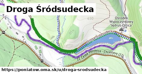 ilustrácia k Droga Śródsudecka, Poniatów - 1,46 km