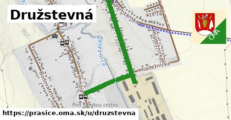 Družstevná, Prašice