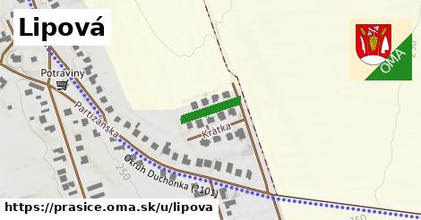 Lipová, Prašice