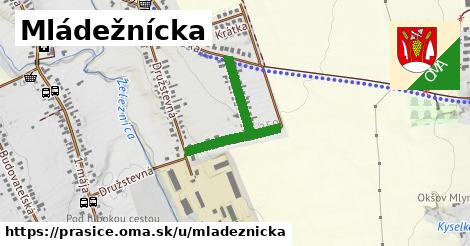 Mládežnícka, Prašice